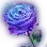 梦境幻想马(梦境马) · 图示 13