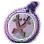 世界王出现地点与时刻 · 图示 137