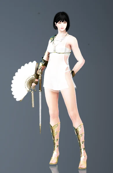 经典服装选择箱子 · 图示 230