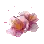 [活动] 樱花
