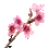 [活动] 有活力的樱花枝