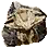 古代生物的化石