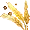 [赛季] 金黄大麦