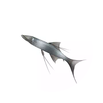 短頭深海狗母魚知识图标