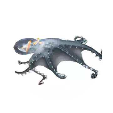 玻璃章鱼知识图标