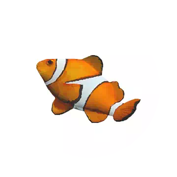 小丑魚知识图标