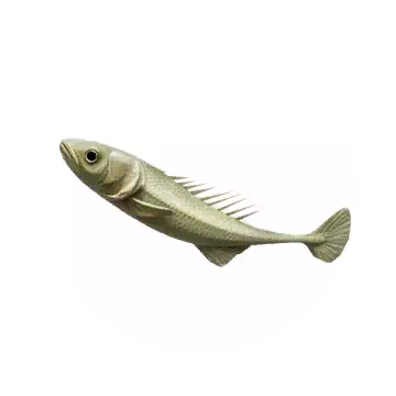 刺魚知识图标