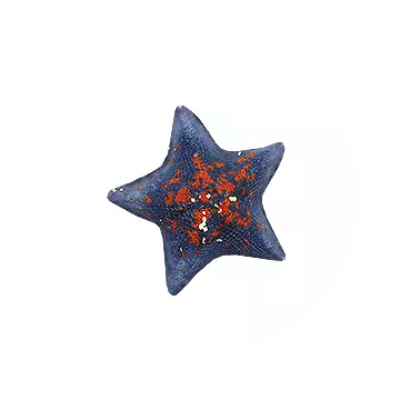 蝙蝠海星知识图标
