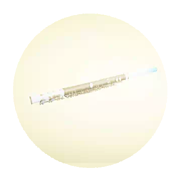 弗罗凯特菈长笛知识图标
