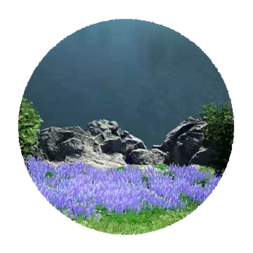 海天相遇的地平线知识图标