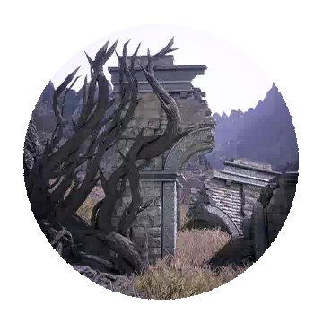 唯余虚空之地I知识图标