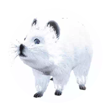 雪原伊狸鼠知识图标