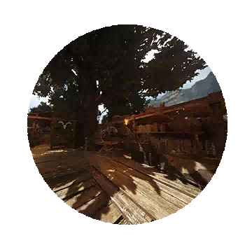 长叶树侦察岗哨知识图标