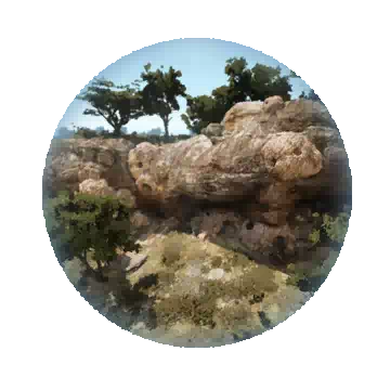 石尾荒蕪地知识图标