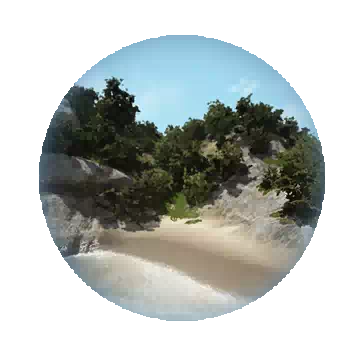 露露波岛知识图标