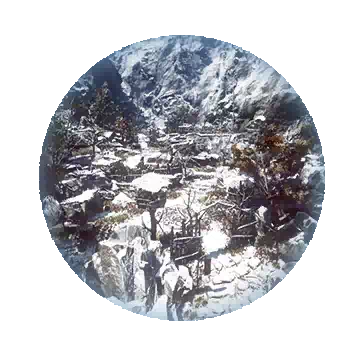 翡翠星光之森知识图标