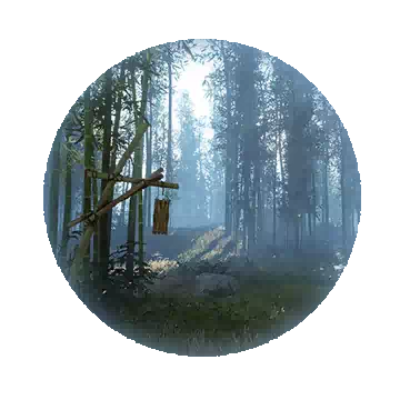 十里竹林知识图标