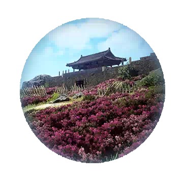 菜芝渡口知识图标
