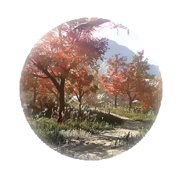 别离森林知识图标