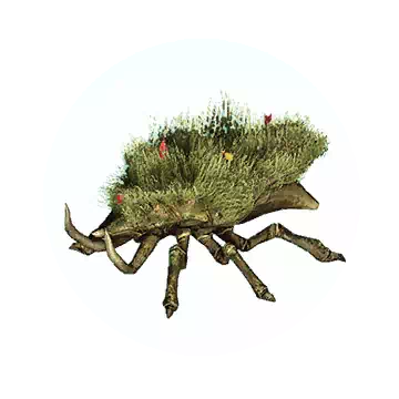 草甲虫图鉴