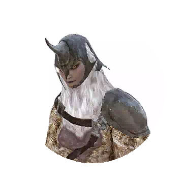 鸟妖战士相关知识图鉴