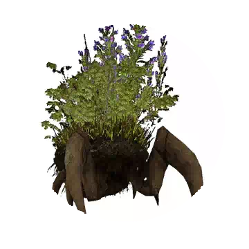 法斯特森林药草背石蟹知识图标