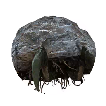 伐斯特森林巨大背石蟹知识图标
