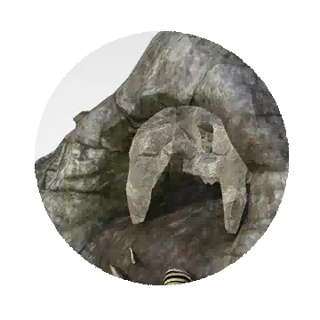 埋伏中的岩石蜘蛛知识图标