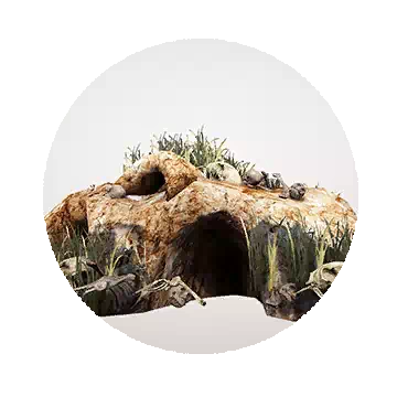 鬃毛族隧道知识图标