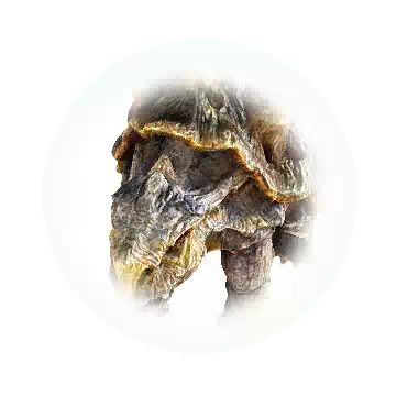 玛格斯知识图标
