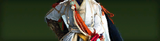 [遊俠]太白盔甲商品图标