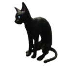 猫外观方案 1