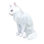 猫外观方案 3