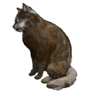 猫外观方案 9