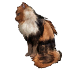 猫外观方案 7