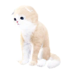 猫外观方案 2