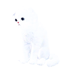 猫宠物图标