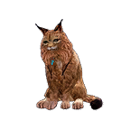 猫外观方案 3