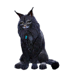 猫宠物图标