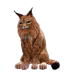 猫外观方案 3