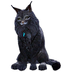 猫宠物图标