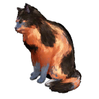 猫宠物图标