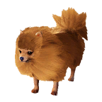 狗外观方案 1