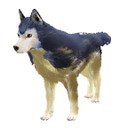 狗外观方案 3