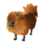 狗外观方案 3