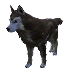 狗外观方案 6
