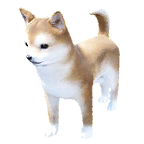 狗外观方案 6