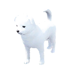 狗外观方案 1