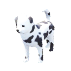 狗外观方案 2
