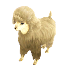 狗外观方案 1